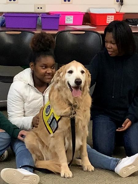 Local deals therapy dogs